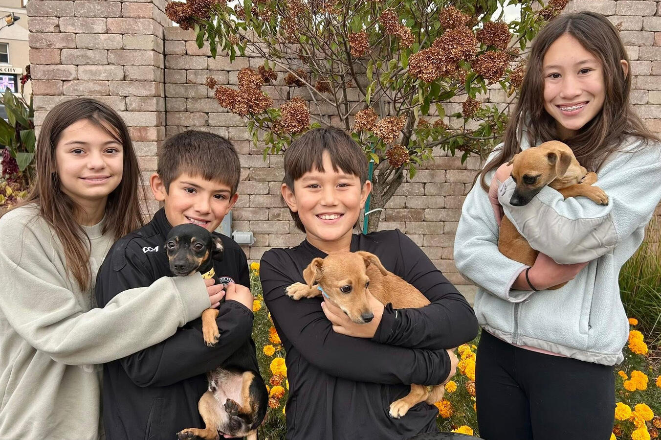 Chan, Chipotle, Cookie Crumble